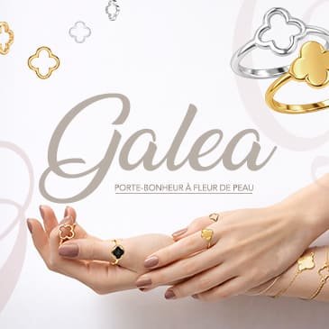 COLLECTION GALEA