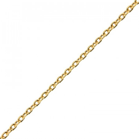 Chaine Plaqué Or FORCAT LIME 55-40CM                 
