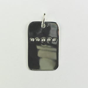 Plaque Argent GM PERCEE 35x24                   