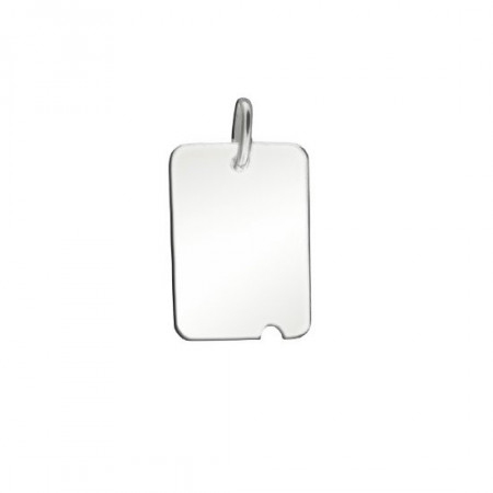 Plaque Argent UNIE ENCOCHE PM 26x18             
