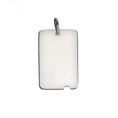 Plaque Argent UNIE ENCOCHE GM 35x24             