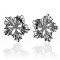 B.O Argent OP HIBISCUS GM                         