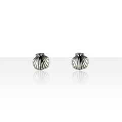 B.O. Argent COQUILLE ST JACQUES TPM               