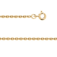 Chaine Plaqué Or FORCAT LIME 45-50CM                 