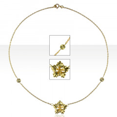 Collier Plaqué Or 1 HIBISCUS + 2B5              