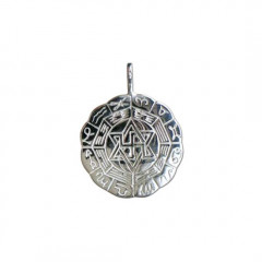 Médaille Argent DE MAITRE LIONEL 33               