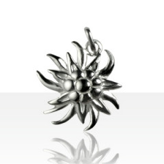 Pendentif Argent EDELWEISS                             