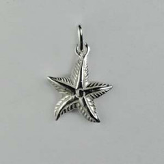 Pendentif Argent ETOILE DE MER                         